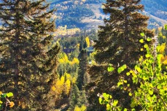 20220928_092700-1-Copy