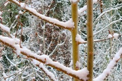 20240521_061653-1-Copy