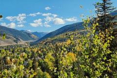 20240923_092625-1-Copy