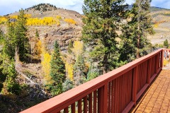 20240927_144103-1-Copy