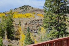 20240927_144213-1-Copy