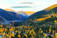 20240930_182912-1-Copy