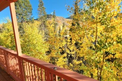 20241001_080821-1-Copy