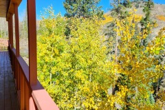 20241001_103907-1-Copy