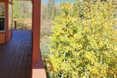 20241001_104008-1-Copy