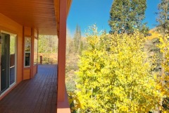 20241001_104057-1-Copy