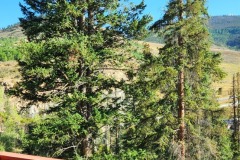 20250819_084530-1-Copy