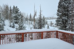 IMG_20230118_104004_011