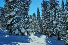 IMG_20230131_120802_011