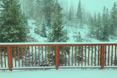 IMG_20240507_1033501