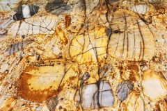 20250918_142659-2-Copy-scaled